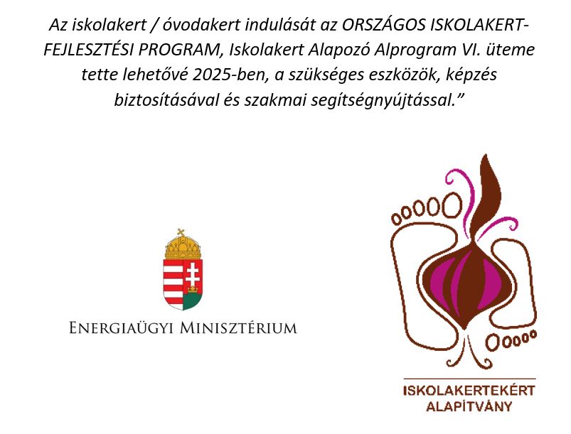 iskola